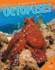 Octopuses