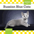 Russian Blue Cats (Cats Set 8)