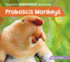 Proboscis Monkeys (World's Weirdest Animals)