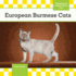 European Burmese Cats