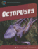 Octopuses (21st Century Skills Library: Exploring Our Oceans)