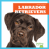 Labrador Retrievers (Bullfrog Books: Paw Prints)