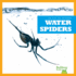Water Spiders (Bullfrog Books: an Eye on Spiders)