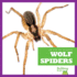 Wolf Spiders