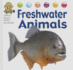 Freshwater Animals (Safari Sam's Wild Animals)
