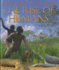 The Rise of Humans (Prehistoric! )
