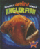 Anglerfish (Extremely Weird Animals)