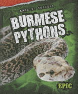 Burmese Pythons
