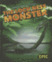 The Loch Ness Monster