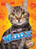 Manx (Cool Cats)