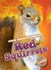 Red Squirrels (North American Animals)