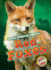 Red Foxes (Blastoff! Readers: North American Animals) (North American Animals: Blastoff Readers, Level 3)