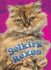 Selkirk Rexes (Cool Cats)