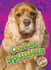 Cocker Spaniels (Blastoff! Readers, Level 2: Awesome Dogs)