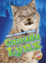 Canada Lynx (North American Animals)