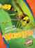 Wasps (Insects Up Close)