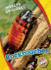 Cockroaches (Insects Up Close, Blastoff! Readers, Level 1)
