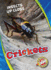 Crickets (Insects Up Close, Blastoff! Readers)