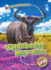 Wildebeest Migration