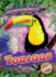 Toucans (Animals of the Rain Forest)