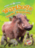 Warthogs and Banded Mongooses (Blastoff Readers! , Level 3: Animal Tag Teams)