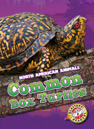 Common Box Turtles (North American Animals: Blastoff! Readers, Level 3)
