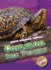 Common Box Turtles (North American Animals: Blastoff! Readers, Level 3)