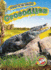 Crocodiles (Animals of the Wetlands: Blastoff! Readers, Level 2)