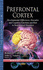 Prefrontal Cortex: Developmental Differences, Executive and Cognitive Functions and Role in Neurological Disorders (Neuroscience Research Progress)
