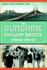 The Sunshine Skyway Bridge: Spanning Tampa Bay (Landmarks)