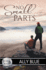No Small Parts Volume 17 Bluewater Bay