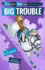 Big Trouble: a Friday Barnes Mystery (Friday Barnes Mysteries)