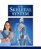 The Skeletal System (the Human Body)