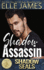 Shadow Assassin: Shadow Seals