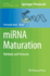 Mirna Maturation