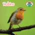 Robins (Backyard Safari)