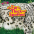 My Fur is Thick and Spotted (Zoo Clues: Little Bits! First Readers)