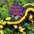 My Skin is Bumpy and Slimy: What Am I? (Zoo Clues: Little Bits! First Readers)