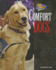 Comfort Dogs (Dog Heroes)
