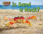 Is Sand a Rock? (Science Slam! : Rock-Ology)