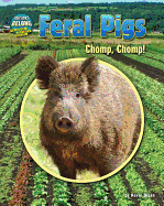 Feral Pigs: Chomp, Chomp! (They Don't Belong: Tracking Invasive Species)