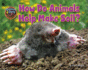 How Do Animals Help Make Soil? (Down & Dirty: the Secrets of Soil)