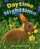 Daytime Nighttime