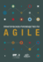 Agile Practice Guide (Russian) (Russian Edition)