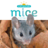 Mice