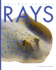 Rays (Amazing Animals)