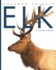 Elk