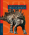 Stegosaurus (Dinosaur Days)