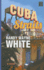 Cuba Straits: a Doc Ford Novel