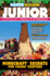 Master Builder Junior: Minecraft �� Secrets for Young Crafters